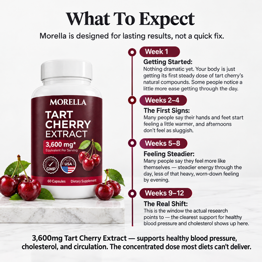Morella Tart Cherry Extract
